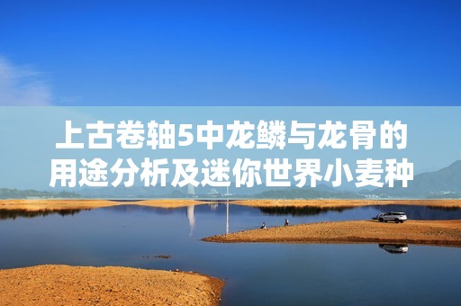 上古卷轴5中龙鳞与龙骨的用途分析及迷你世界小麦种植攻略