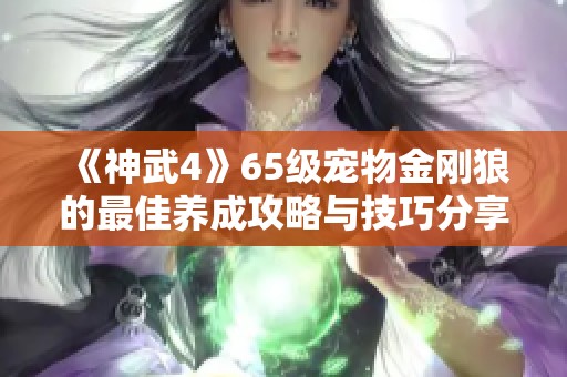 《神武4》65级宠物金刚狼的最佳养成攻略与技巧分享