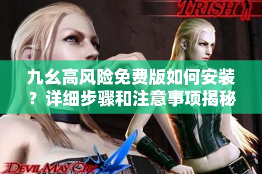 九幺高风险免费版如何安装？详细步骤和注意事项揭秘