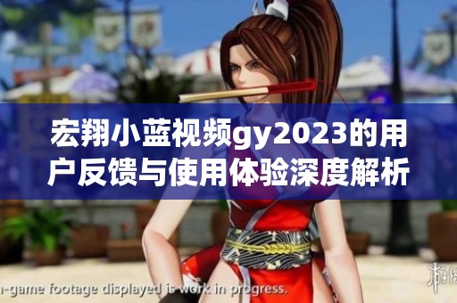 宏翔小蓝视频gy2023的用户反馈与使用体验深度解析