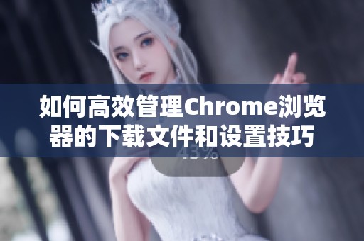 如何高效管理Chrome浏览器的下载文件和设置技巧