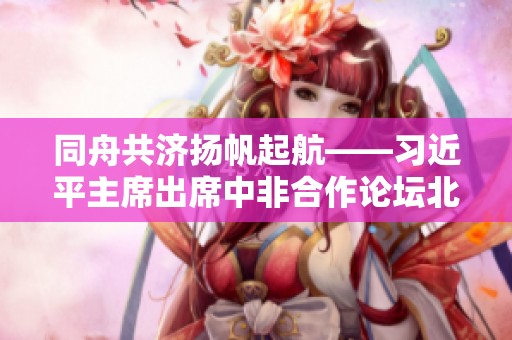 同舟共济扬帆起航——习近平主席出席中非合作论坛北京峰会纪实