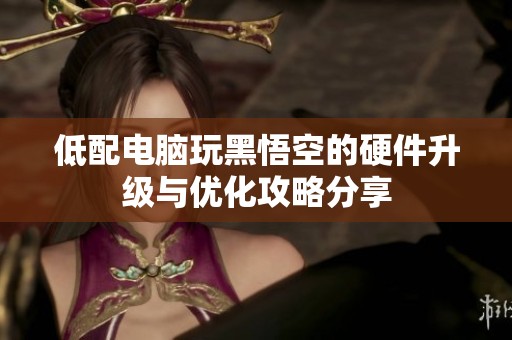低配电脑玩黑悟空的硬件升级与优化攻略分享