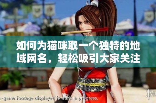 如何为猫咪取一个独特的地域网名，轻松吸引大家关注