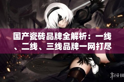 国产瓷砖品牌全解析：一线、二线、三线品牌一网打尽