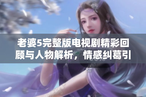 老婆5完整版电视剧精彩回顾与人物解析，情感纠葛引人入胜