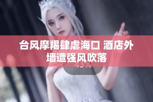 台风摩羯肆虐海口 酒店外墙遭强风吹落