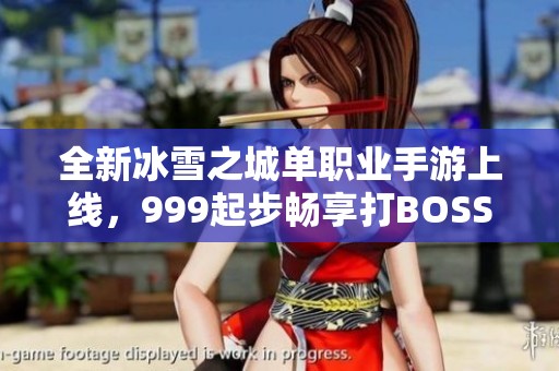全新冰雪之城单职业手游上线，999起步畅享打BOSS乐趣！