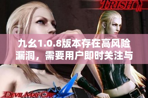 九幺1.0.8版本存在高风险漏洞，需要用户即时关注与处理