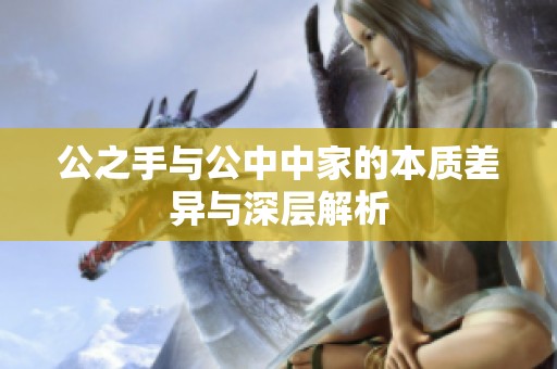 公之手与公中中家的本质差异与深层解析
